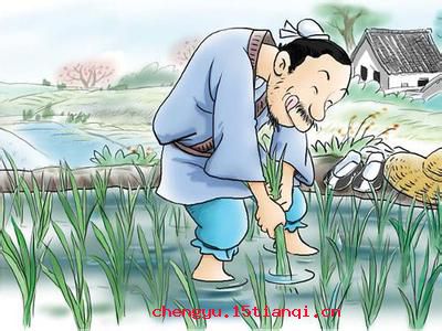 脱胎换骨的故事图片