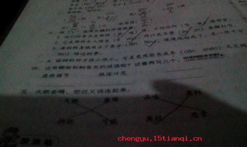 大树将军的故事