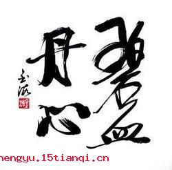 碧血丹心的故事