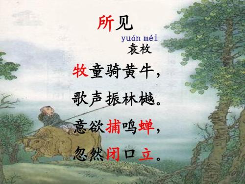 所见